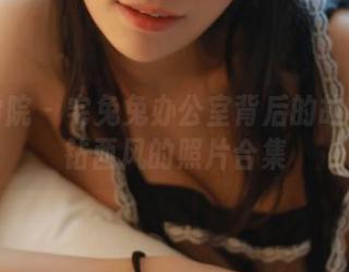 模范学院 – 宅兔兔办公室背后的故事：刁钻西风的照片合集